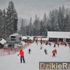 zdjęcie nr 170