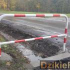 zdjęcie nr 7