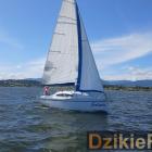 zdjęcie nr 141
