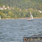 zdjęcie nr 111