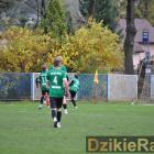 zdjęcie nr 31