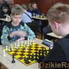zdjęcie nr 8