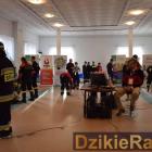 zdjęcie nr 9