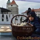 zdjęcie nr 49