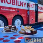 zdjęcie nr 13