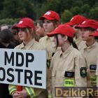 zdjęcie nr 45