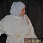 zdjęcie nr 215