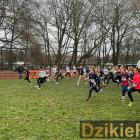 zdjęcie nr 19