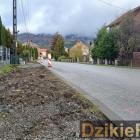 Fot: DzikieRadio®