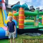 zdjęcie nr 85