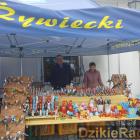 zdjęcie nr 82