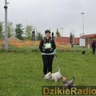 zdjęcie nr 11