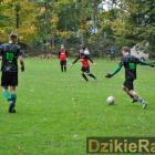 zdjęcie nr 19