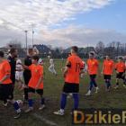 Fotka nr 4 z 7