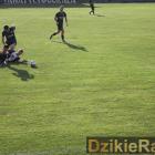 zdjęcie nr 19