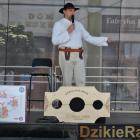 zdjęcie nr 14