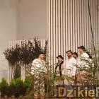 zdjęcie nr 124