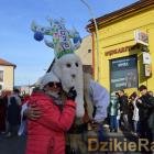 zdjęcie nr 119