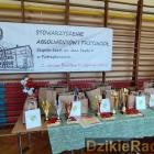 zdjęcie nr 7
