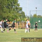 zdjęcie nr 102
