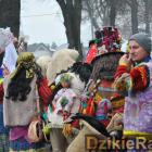zdjęcie nr 318