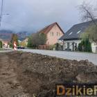 Fot: DzikieRadio®