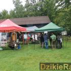 zdjęcie nr 100