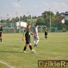 zdjęcie nr 11