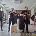 zdjęcie nr 133