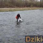 Polski Związek Wędkarski Żywiec Zabłocie