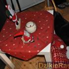 zdjęcie nr 30