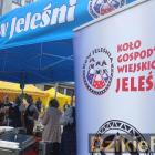 Fotka nr 3 z 100