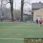 zdjęcie nr 14