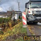 Fot: DzikieRadio®