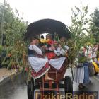 zdjęcie nr 242