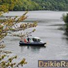 zdjęcie nr 93