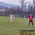 Fotka nr 2 z 258