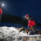 zdjęcie nr 12