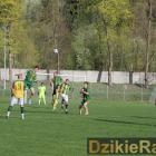 zdjęcie nr 11