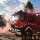 Fotka nr 3 z 10