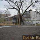 zdjęcie nr 191