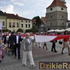 zdjęcie nr 10