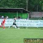 zdjęcie nr 114