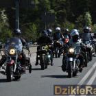 zdjęcie nr 70
