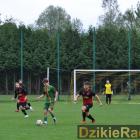 zdjęcie nr 43