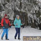 zdjęcie nr 45