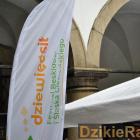 zdjęcie nr 10