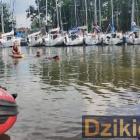 Fotka nr 5 z 6