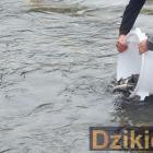 zdjęcie nr 9