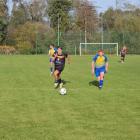 zdjęcie nr 12